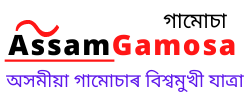 Assam Gamosa
