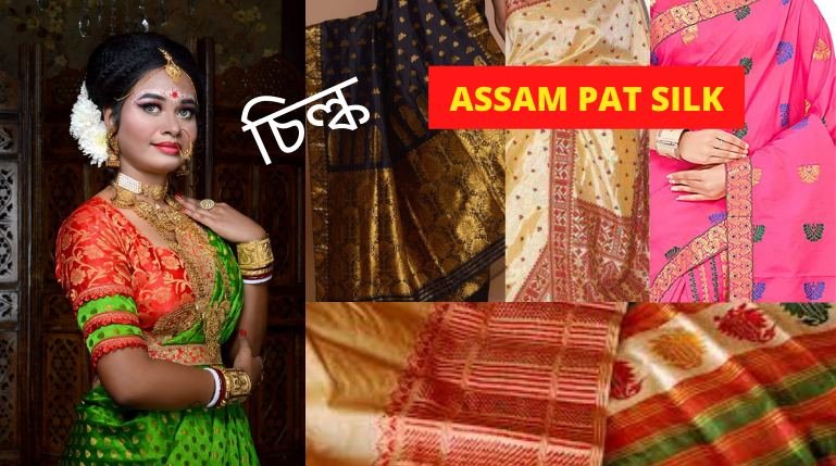 Designs and Motifs of Pat Silk – Assam Silk